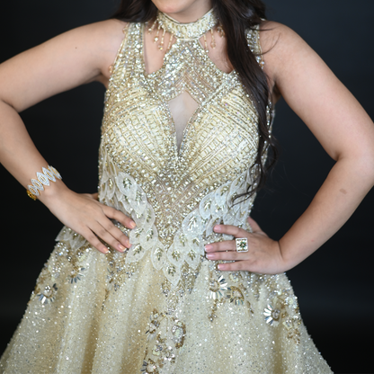 New Cream Sequins Embroidered Designer Net Ball Gown with Halter Neck